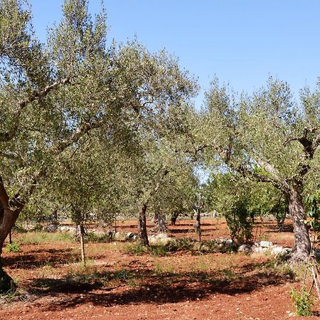 مبيت وإفطار ألبيروبيللو Casa Delle Rondini المظهر الخارجي الصورة