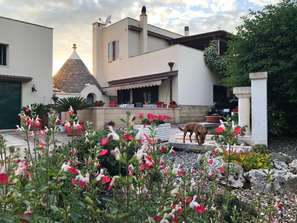 مبيت وإفطار ألبيروبيللو Casa Delle Rondini المظهر الخارجي الصورة