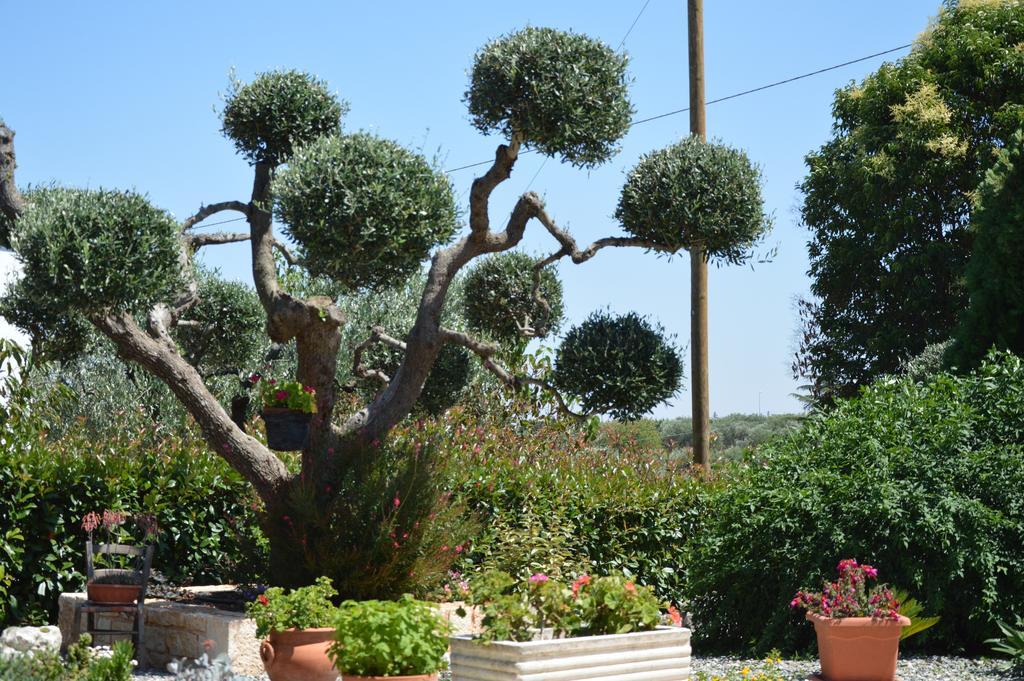 مبيت وإفطار ألبيروبيللو Casa Delle Rondini المظهر الخارجي الصورة