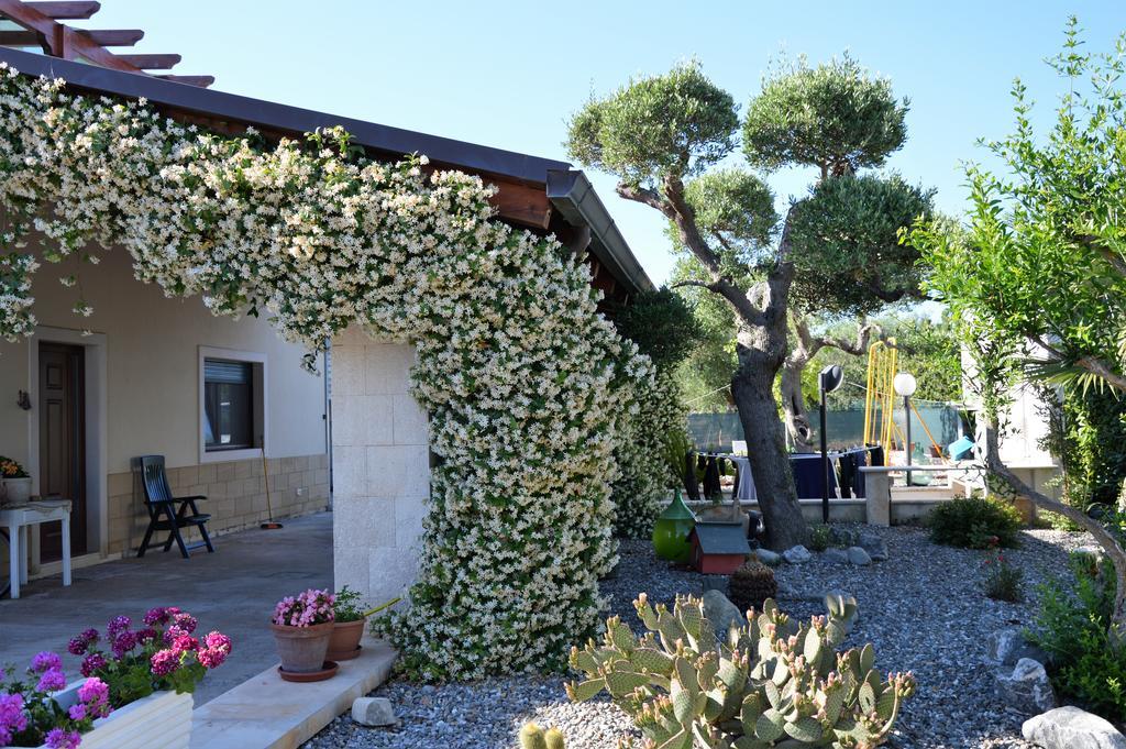 مبيت وإفطار ألبيروبيللو Casa Delle Rondini المظهر الخارجي الصورة
